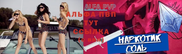 хмурый Осинники