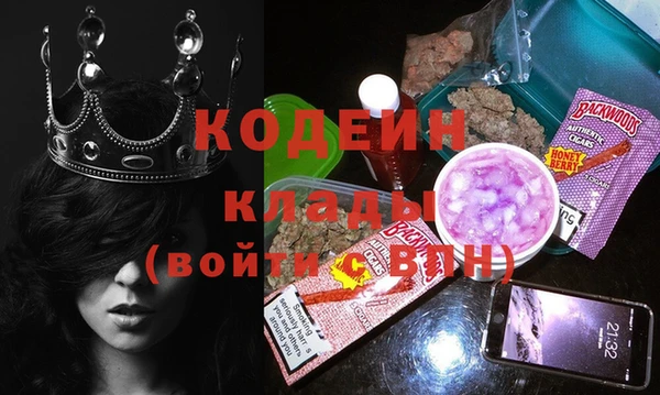 хмурый Осинники