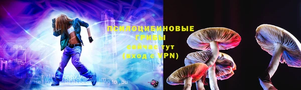 хмурый Осинники