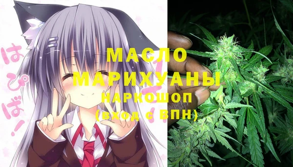 хмурый Осинники