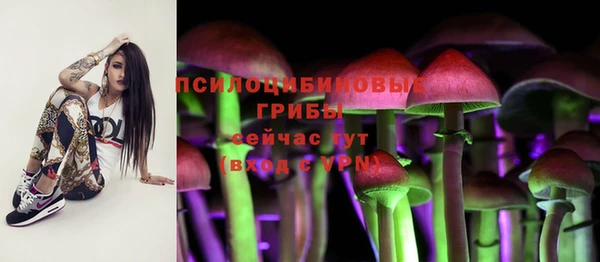 ALPHA-PVP Осташков