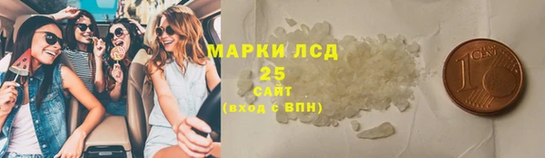 хмурый Осинники