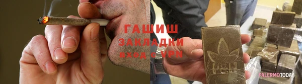 хмурый Осинники