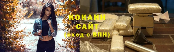 хмурый Осинники