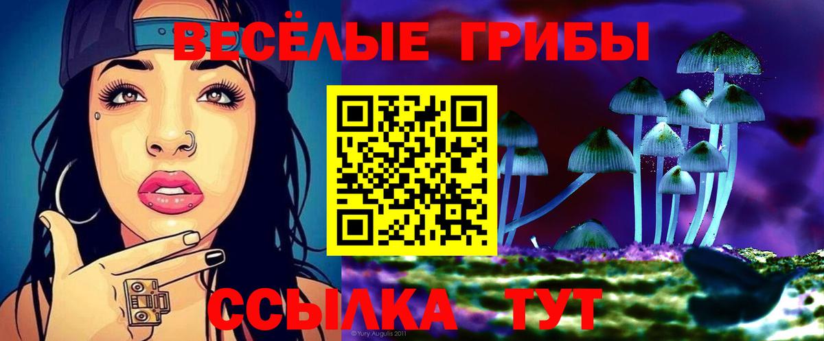 Галлюциногенные грибы GOLDEN TEACHER Кореновск