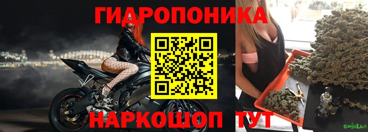 Каннабис SATIVA & INDICA  Конопля планчик  Кореновск  Вход с VPN 